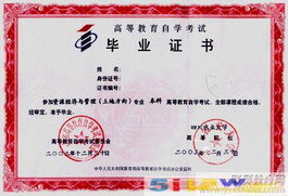 深耕教育咨询领域，嘉渡教育咨询上海引领行业新标杆